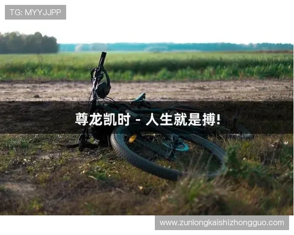 深度解析尊龙凯时平台登陆的用户体验，畅享游戏的无穷乐趣